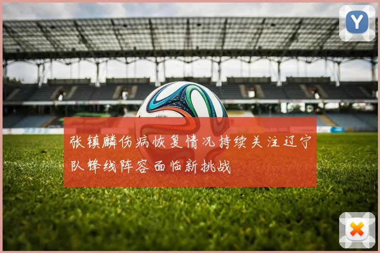 张镇麟伤病恢复情况持续关注辽宁队锋线阵容面临新挑战