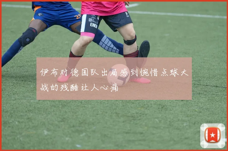 伊布对德国队出局感到惋惜点球大战的残酷让人心痛