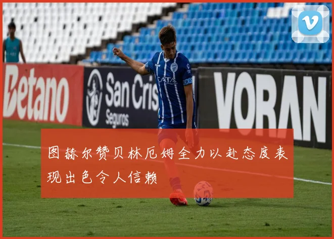 图赫尔赞贝林厄姆全力以赴态度表现出色令人信赖