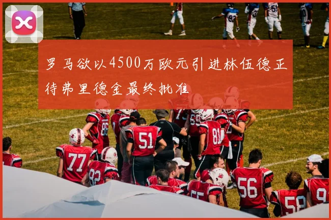 罗马欲以4500万欧元引进林伍德正待弗里德金最终批准