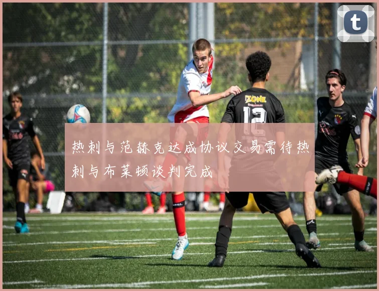 热刺与范赫克达成协议交易需待热刺与布莱顿谈判完成
