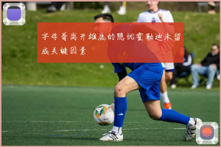 字母哥离开雄鹿的隐忧霍勒迪未留成关键因素