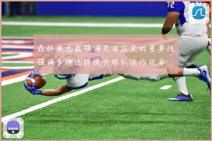 森林狼总裁强调灵活应变的重要性强调多样选择提升球队运作效率